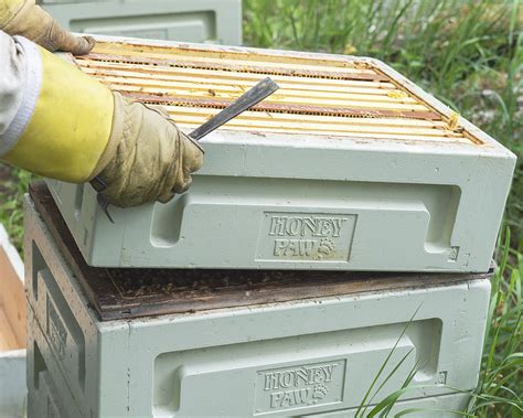 Honey paw - Honey Paw is dedicated to providing quality beekeeping equipment and supplies locally and globally with the best customer service. All our products have been designed and tested in our own beekeeping operation with 40 years of experience. Honey Paw beehive products and machinery have been used for many years before the commercial distribution ... 